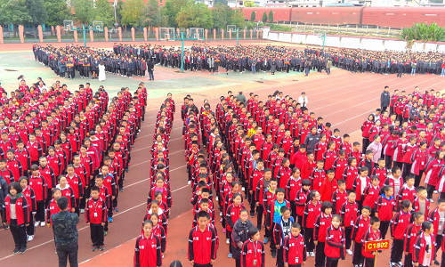 图片13.png 图片13.png