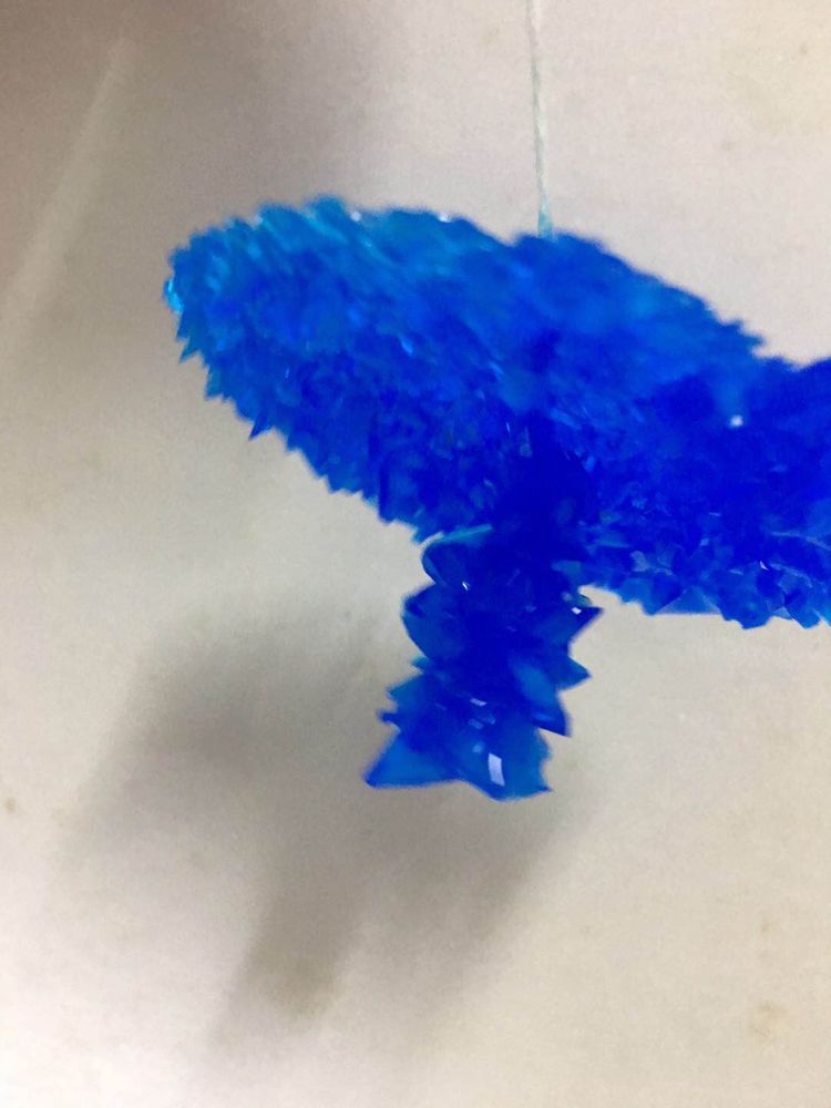 24初三化学特色课.jpg 24初三化学特色课.jpg