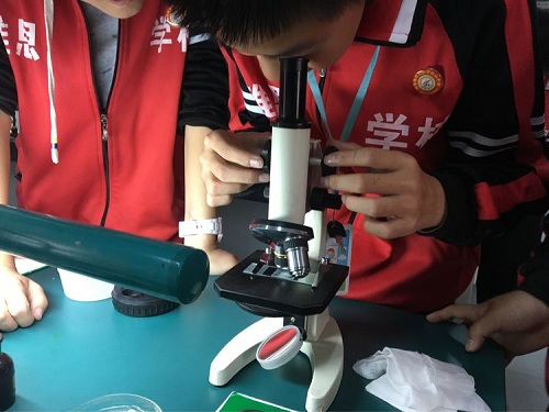 初一生物2.jpg 初一生物2.jpg