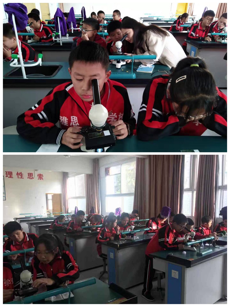 微信图片_20191021160714.jpg 微信图片_20191021160714.jpg