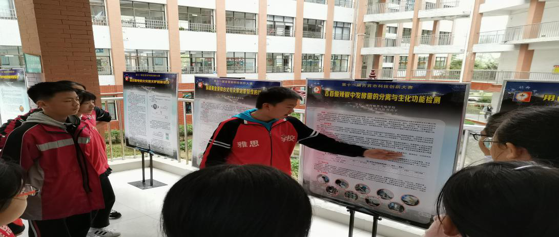 图片3.png 图片3.png