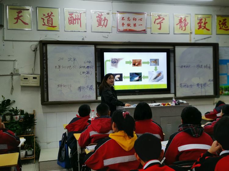 微信图片_20191128122054.jpg 微信图片_20191128122054.jpg