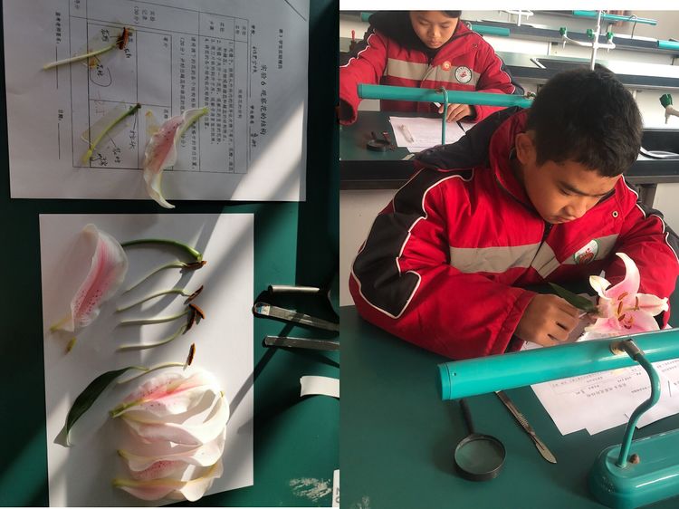 抽考5.jpg 抽考5.jpg