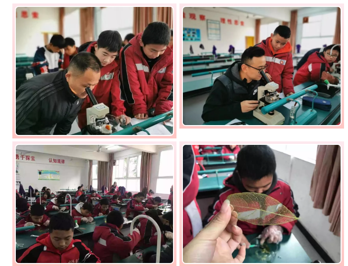 微信图片_20191224162634.png 微信图片_20191224162634.png