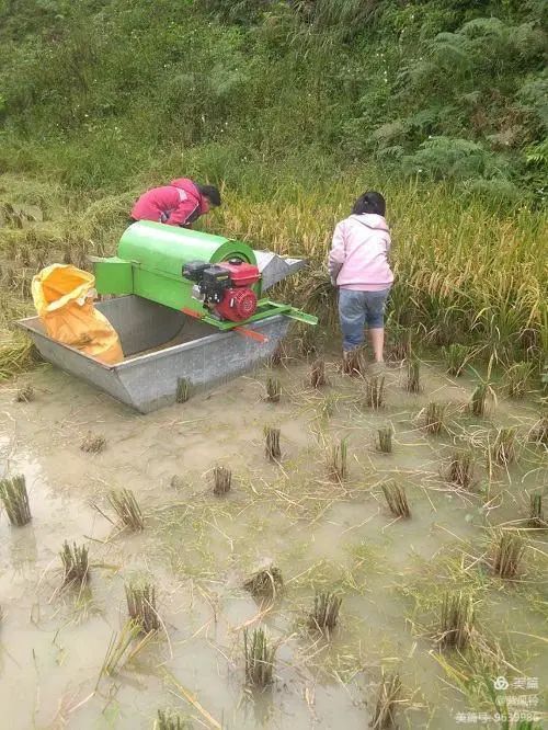 微信图片_20201010102324.jpg 微信图片_20201010102324.jpg