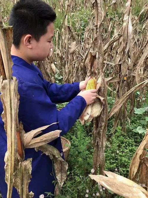 微信图片_20201010102334.jpg 微信图片_20201010102334.jpg