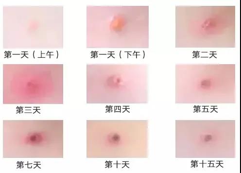 微信图片_20201222183400.jpg 微信图片_20201222183400.jpg