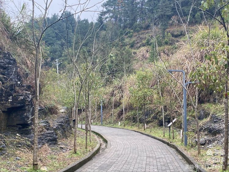 微信图片_20210319081925.jpg 微信图片_20210319081925.jpg