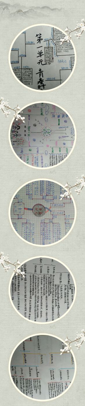 1616425008818.jpg 1616425008818.jpg