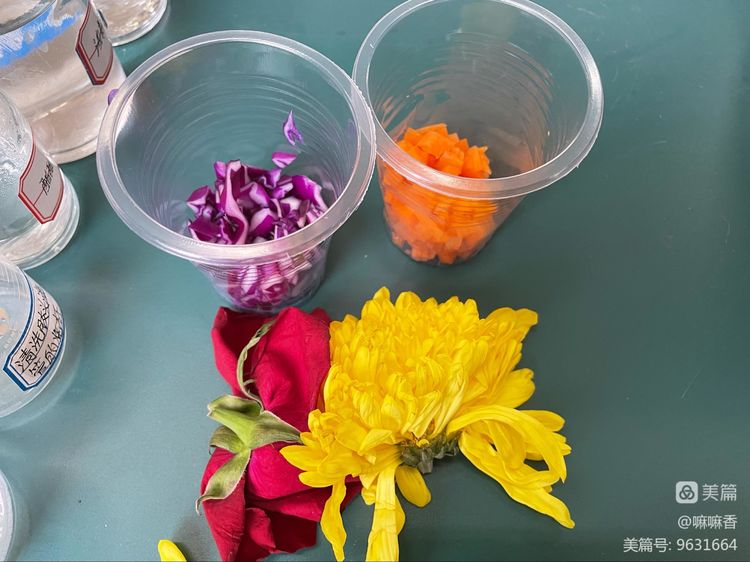 实验循规探3.jpg 实验循规探3.jpg