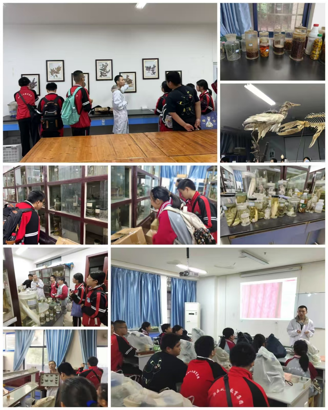 6389681361809815327261252.png 图片2.png