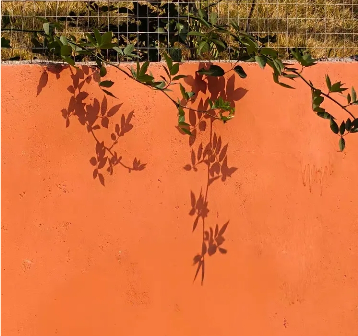 6390138838696635077177203.jpg 微信截图_20251215093753.jpg